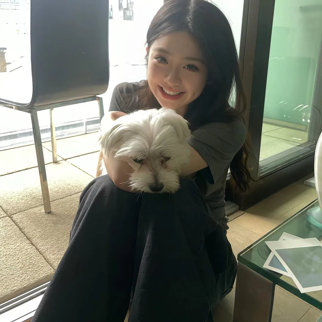 风流浪子美人心