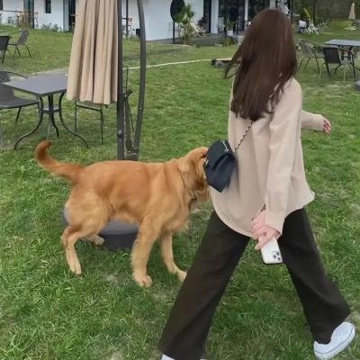 授她以柄